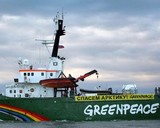 Greenpeace собрал 1 млн подписей за освобождение активистов