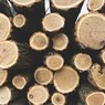 Год назад в Приморье четверо мужчин убили двух человек за отказ грузить дрова