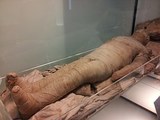 Пропавшую мумию нашли на торгах в Брюсселе спустя более сорока лет
