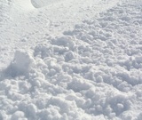 Петербургские власти отчитались об уборке снега