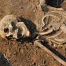 Строители гаража в Кургане откопали в земле 30 скелетов