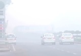 В столице Индии закрыты школы и отменены десятки авиарейсов из-за густого смога