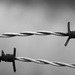 Правительство РФ закрыло ряд погранпереходов через границу с Латвией, Финляндией и Эстонией