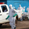 В Нью-Йорке и Мали зафиксированы первые случаи заражения Эболой