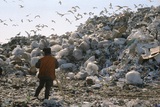 Власти Челябинска ввели режим повышенной опасности из-за мусорного коллапса