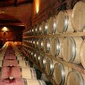 Директор НИИ виноградарства рассказал сколько может стоить хорошее вино в России