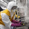 В России выявили 11 новых случаев заражения коронавирусом