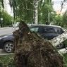 Из-за урагана в Свердловской области погибли четыре человека