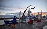Украина продает рыболовную флотилию