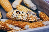 Россельхознадзор может запретить поставки кукурузы для попкорна из США