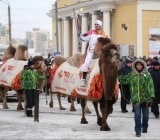 В Челябинске олимпийский огонь провезли на верблюде (ФОТО)