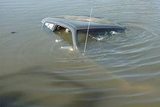 В неглубокой речке Татарстана нашли машину с семью трупами