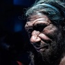 Палеонтологи выяснили, что привело неандертальцев к каннибализму