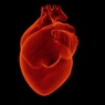 Ученый рассказал о самом эффективном способе защиты от инфаркта
