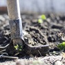 Депутат прокомментировала законопроект о «налоге на огород»