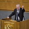 Жириновский предложил депутатам сброситься по миллиону на его избирательную кампанию