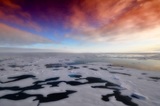 Ученые предупредили о глобальном наводнении из-за таяния льдов Антарктики