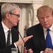 Глава Apple сменил фамилию в Twitter из-за оговорки Трампа