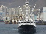 В Южной Корее за долги арестовано судно с российскими моряками