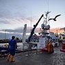 Украина продает рыболовную флотилию
