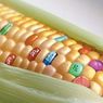 Роспотребнадзор: Эмбарго избавило россиян от импортных ГМО