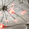 Британские ученые научились лечить эпилепсию с помощью вируса
