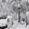 Сильный снегопад в Москве не уймется до самого вечера