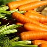 Морковь попала в список продуктов, помогающих предотвратить рак