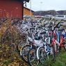 СМИ: Норвежская полиция собирает велосипеды для отправки беженцев в РФ