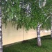 Забор на месте строительства храма в Екатеринбурге снесли