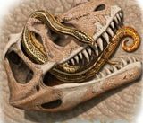 Ученые нашли останки древних змей, питавшихся динозаврами