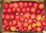 Россельхознадзор пресек ввоз в РФ 20 тонн яблок из Польши