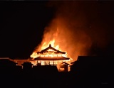 "Потеря для всего человечества": в Японии сгорел старинный замок Сюри