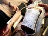 В США судья предложил должникам расплачиваться кровью
