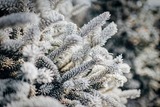 Синоптики пообещали москвичам сильные морозы в Рождество