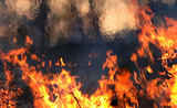 МЧС: В бывшей воинской части в Башкирии горит склад с порохом