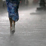 Дожди и холод придут в Москву в грядущее воскресенье