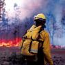 Число пострадавших при пожарах в Хакасии перевалило за сотню