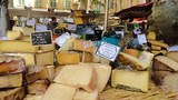 Индия планирует начать поставки сыров в Россию