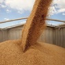 В России начали действовать экспортные пошлины на зерно