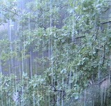 На Москву за день выпала почти половина месячной нормы дождя