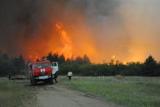 Лесной пожар в Тарасовском районе Ростовской области потушен