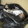 Кости ребенка найдены в мешке с мусором в московской квартире