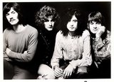 Роберт Плант отказался возродить Led Zeppelin за 800 тыс долларов