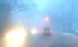 МЧС предупредило московских водителей о ночном тумане