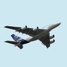 Небесное ЧП: самолет SAS сел в Новосибирске
