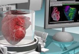 Открыт способ, позволяющий создать на 3D-биопринтере новое сердце