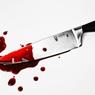 В Воронежской области подросток отобрал нож и зарезал грабителя