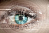 Niantic решила разработать "искусственные глаза" для ловцов покемонов