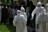 Прилетающих в Домодедово проверяют на вирус Эбола